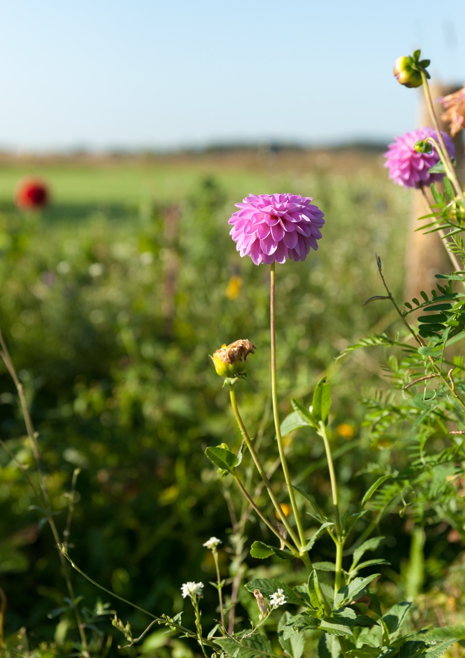 Rust en Ruimte-01493